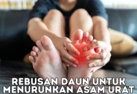 Rebusan Daun Untuk Menurunkan Asam Urat
