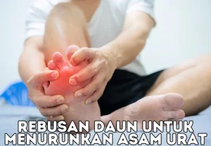 Rebusan Daun Untuk Menurunkan Asam Urat